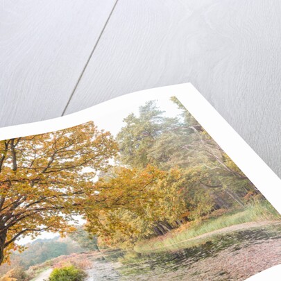 Basingstoke Canal by Assaf Frank